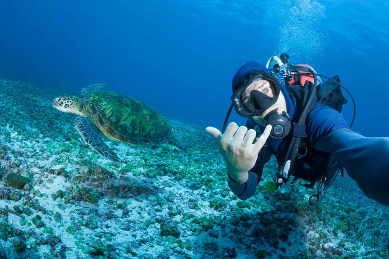 Man-taking-a-selfie-with-a-passing-Green-Turtle