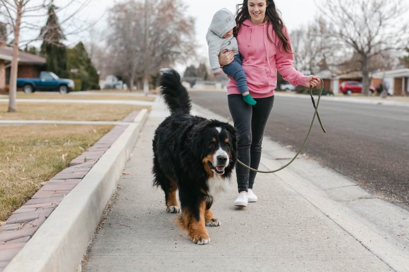 Mom-Baby-And-Dog-Walking-On-Path-Morning-Routine