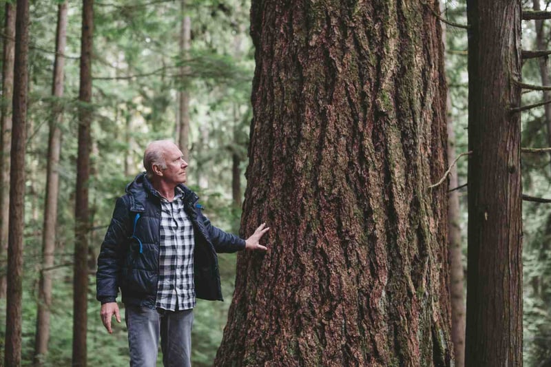 Older-Man-On-A-Hike-In-Forest-how-to-clear-your-mind