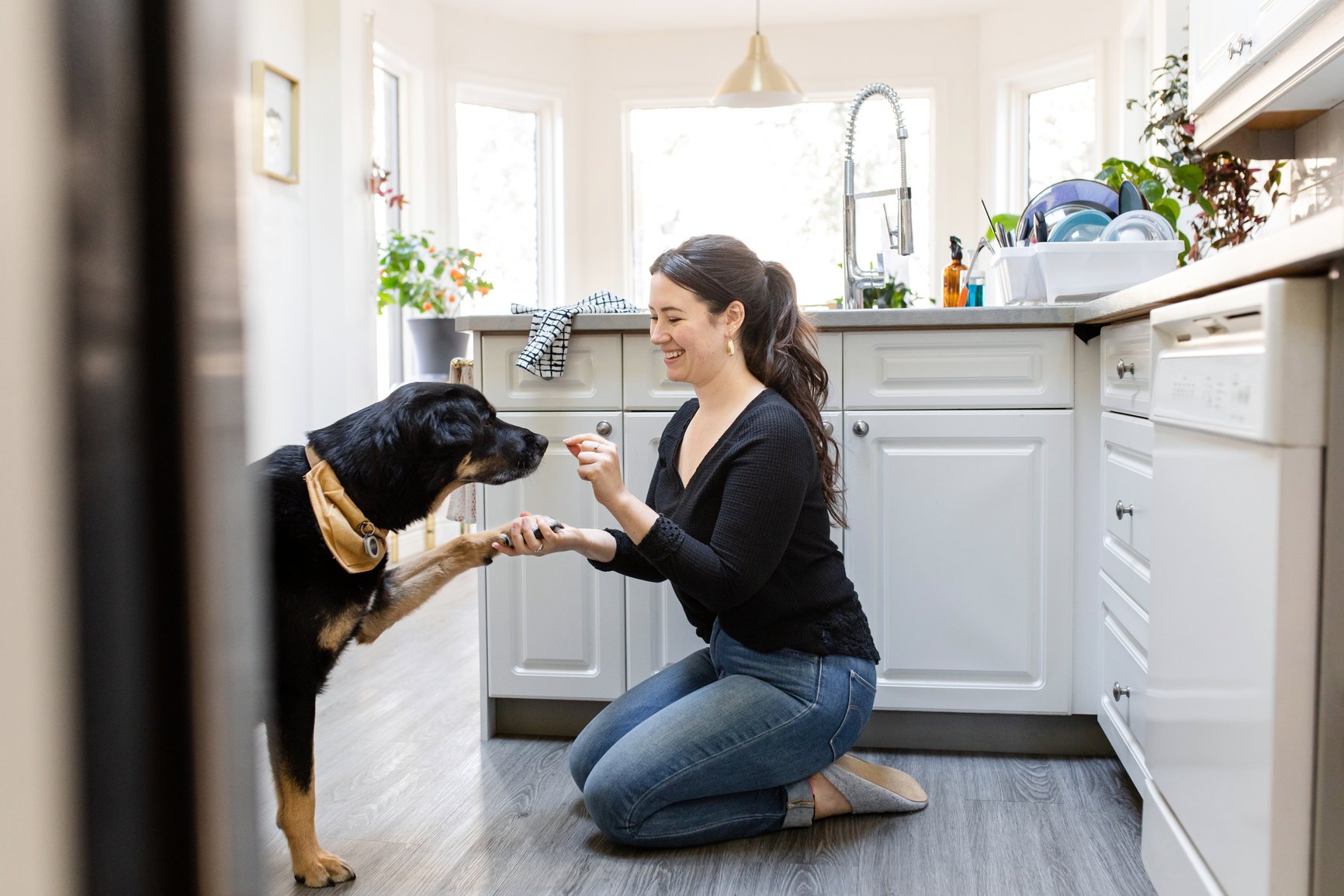 Woman-shaking-her-dogs-hand-to-give-her-a-treat-extrinsic-motivation