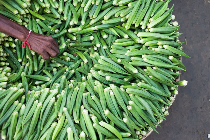 hands-of-a-farmer-selling-okra-climate-change-and-health