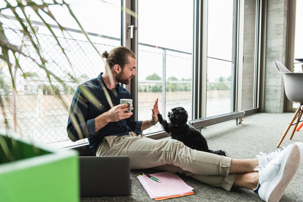 man-sitted-on-the-floor-with-puppy-work-life-balance-cycle-vs-work-life-balance-achievement