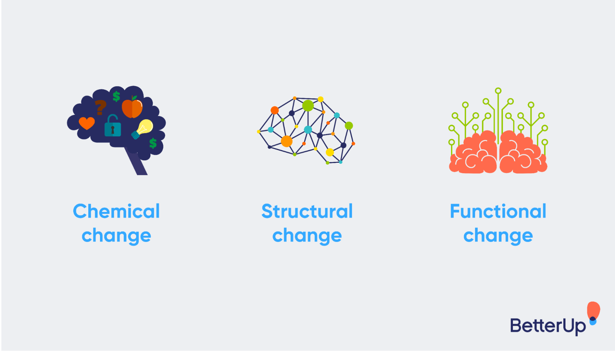 three-stages-of-neuroplastic-change-behavior-change