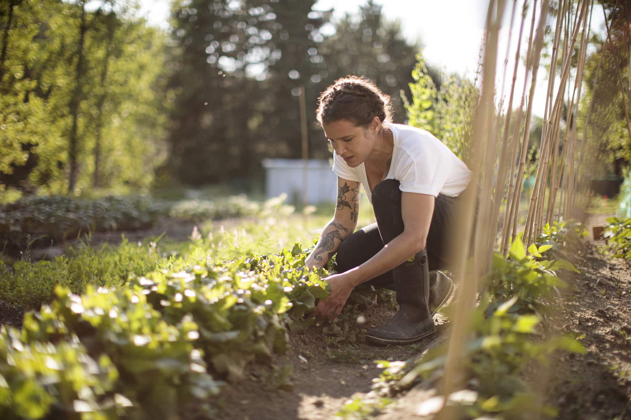 woman-working-in-the-garden-how-to-find-my-calling